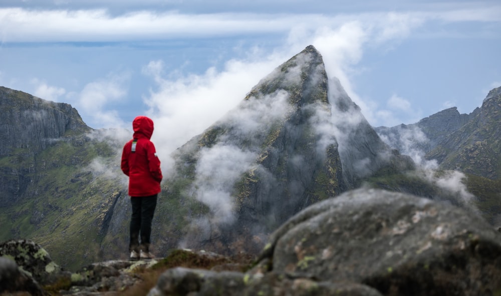 a person in a red jacket standing on a mountain