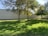 A lush, green lawn is bordered by several trees, casting dappled shadows across the grass. The trees have a mix of green and yellow leaves, suggesting early autumn. In the background, a light-colored wall runs parallel to the lawn.