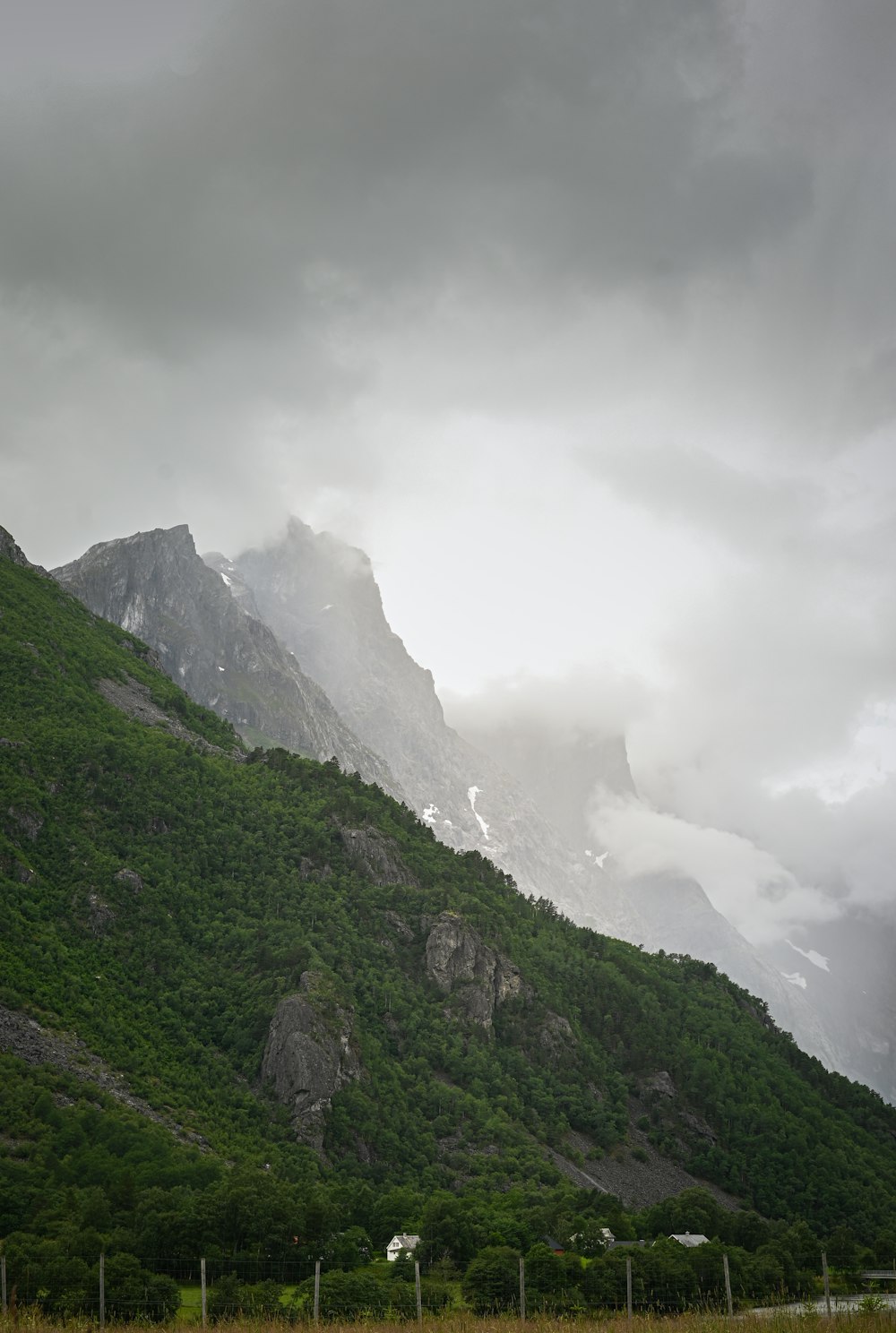 a grassy field with a mountain in the background