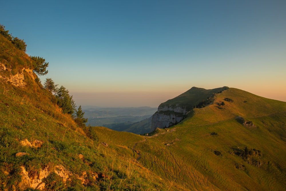 a grassy hill with trees on top of it