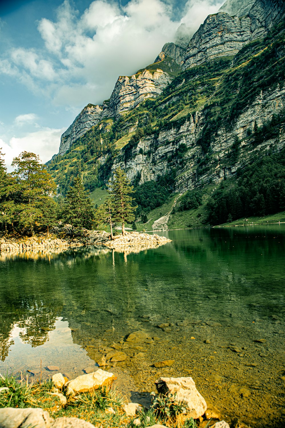 a body of water surrounded by mountains and trees