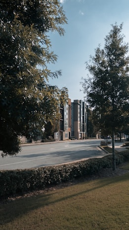 Exterior view of a quiet street with apartment buildings and greenery.