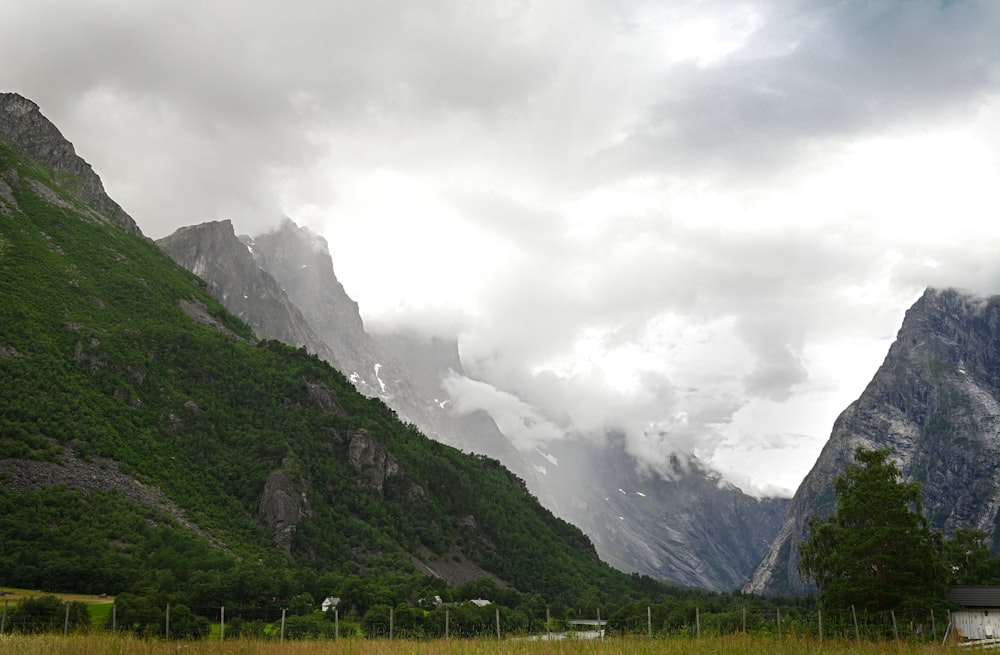 a grassy field with mountains in the background