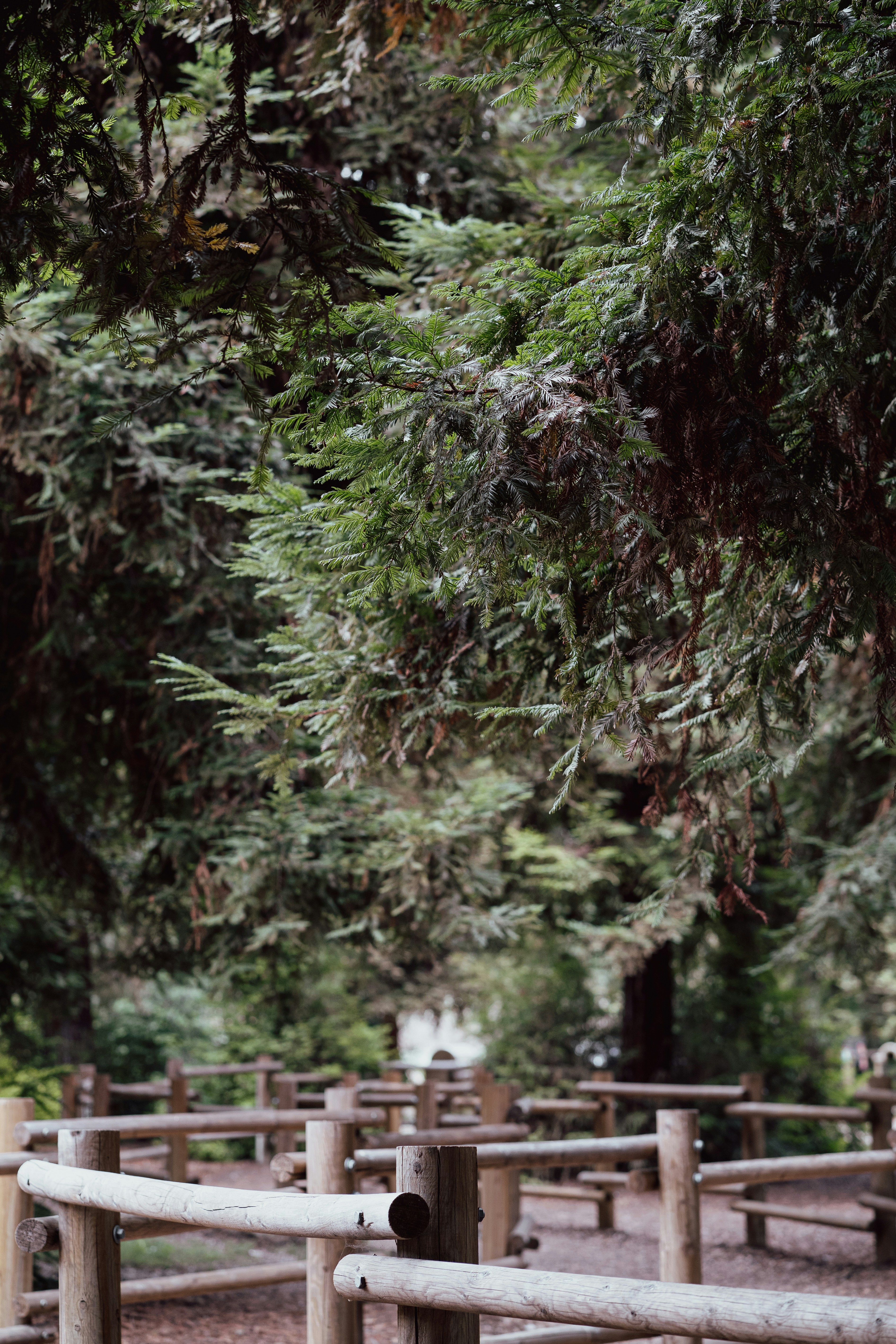 Photo by deannaawong