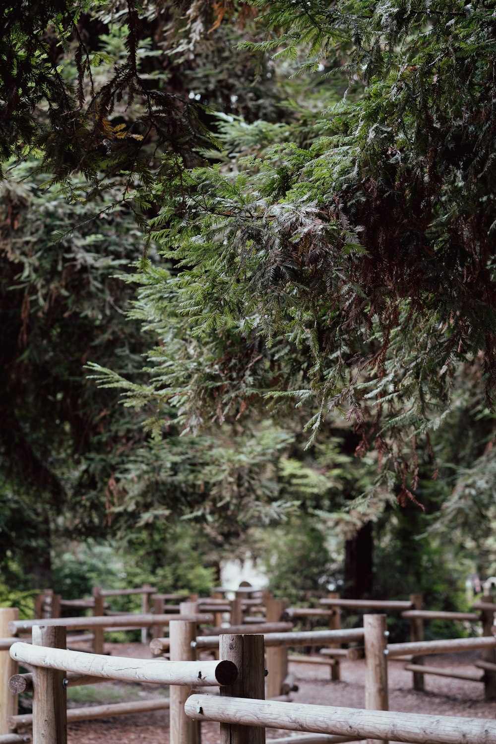 a wooden fence surrounded by trees in a park