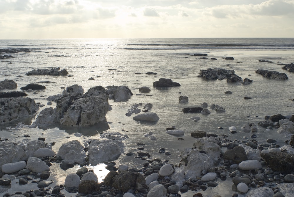 a rocky beach covered in lots of rocks