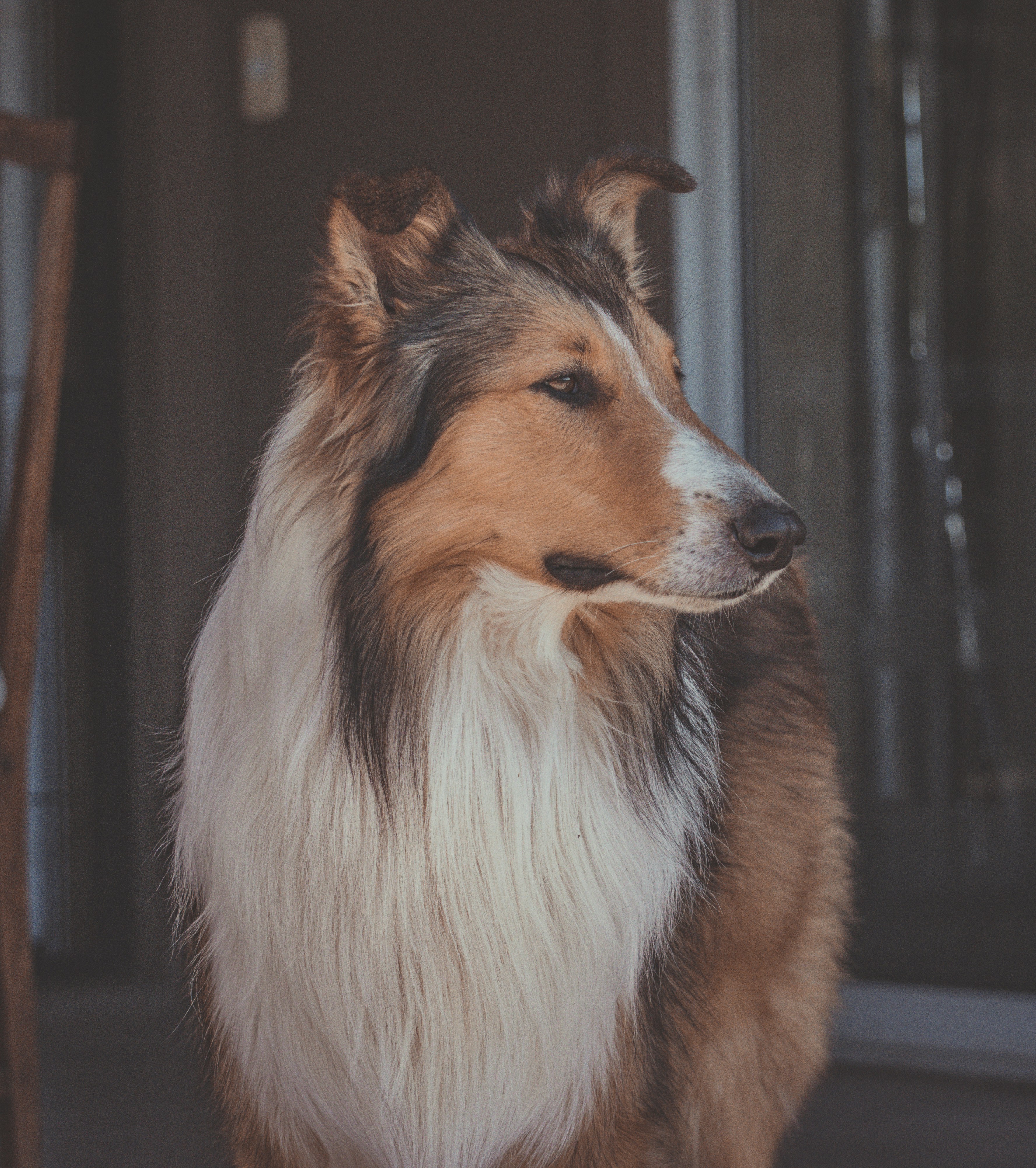 Photo by faustomarques