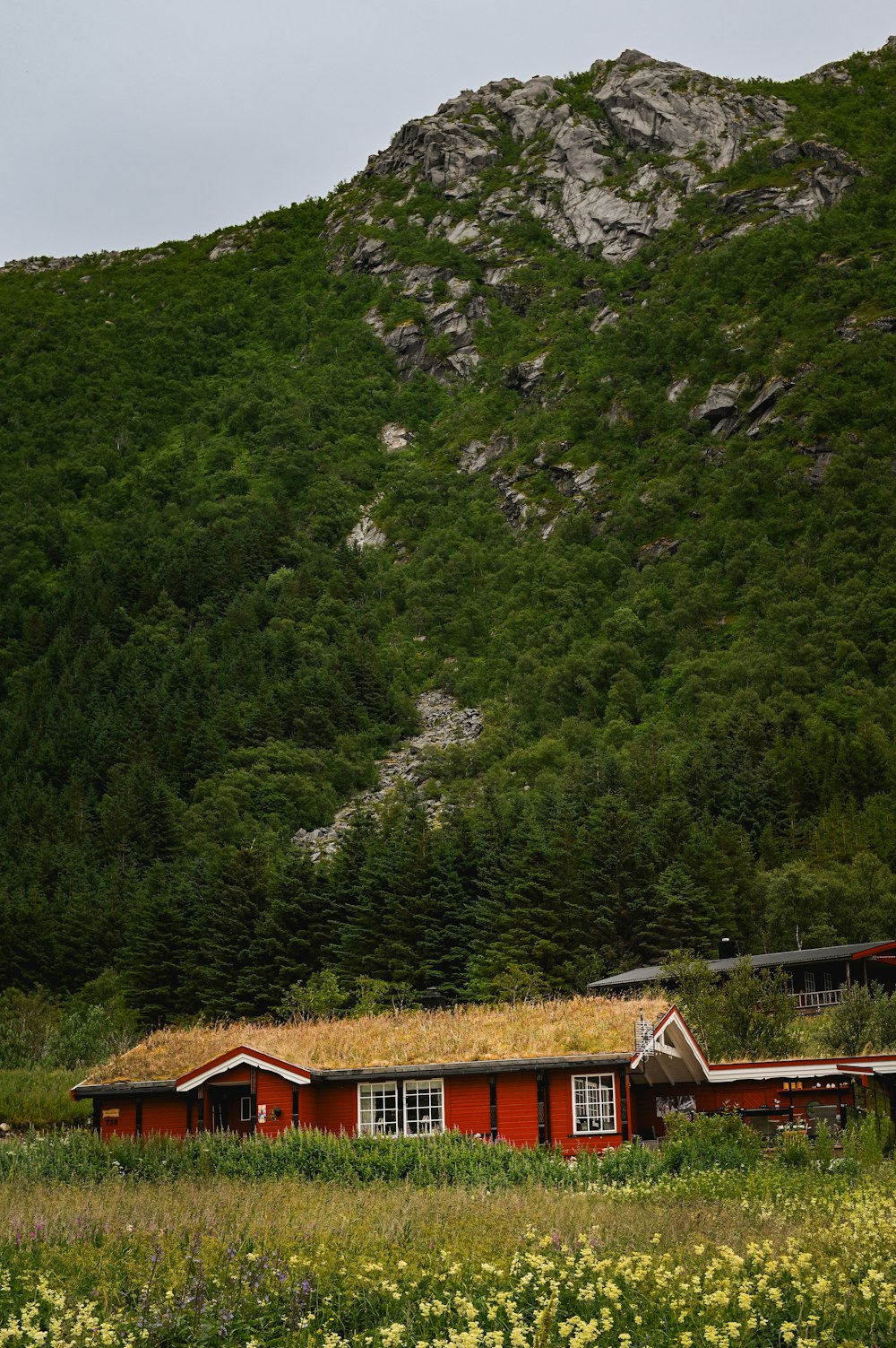 a red house with a grass roof in front of a mountain