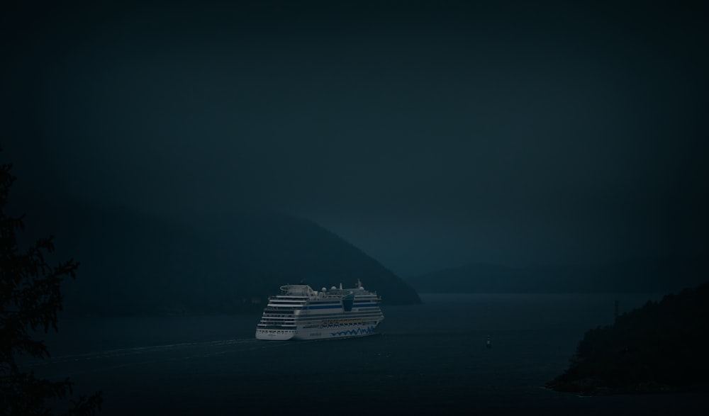 a cruise ship in the water at night