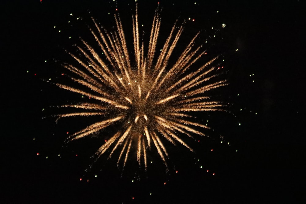 Um fogo-de-artifício é aceso no céu noturno