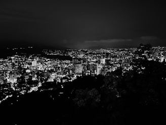 Night view of the city skyline illuminated with sparkling lights.
