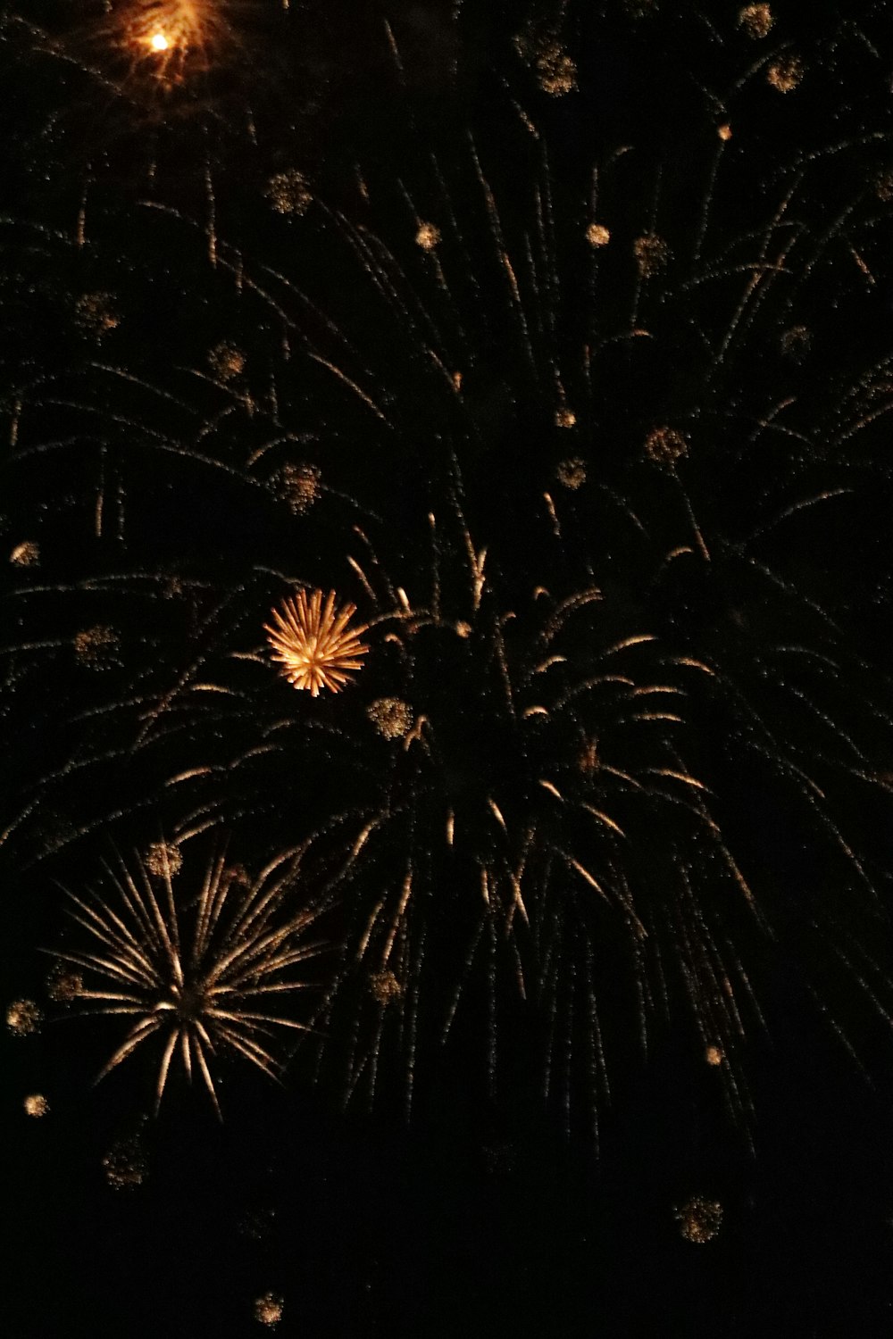 Un mucchio di fuochi d'artificio sono illuminati nel cielo notturno