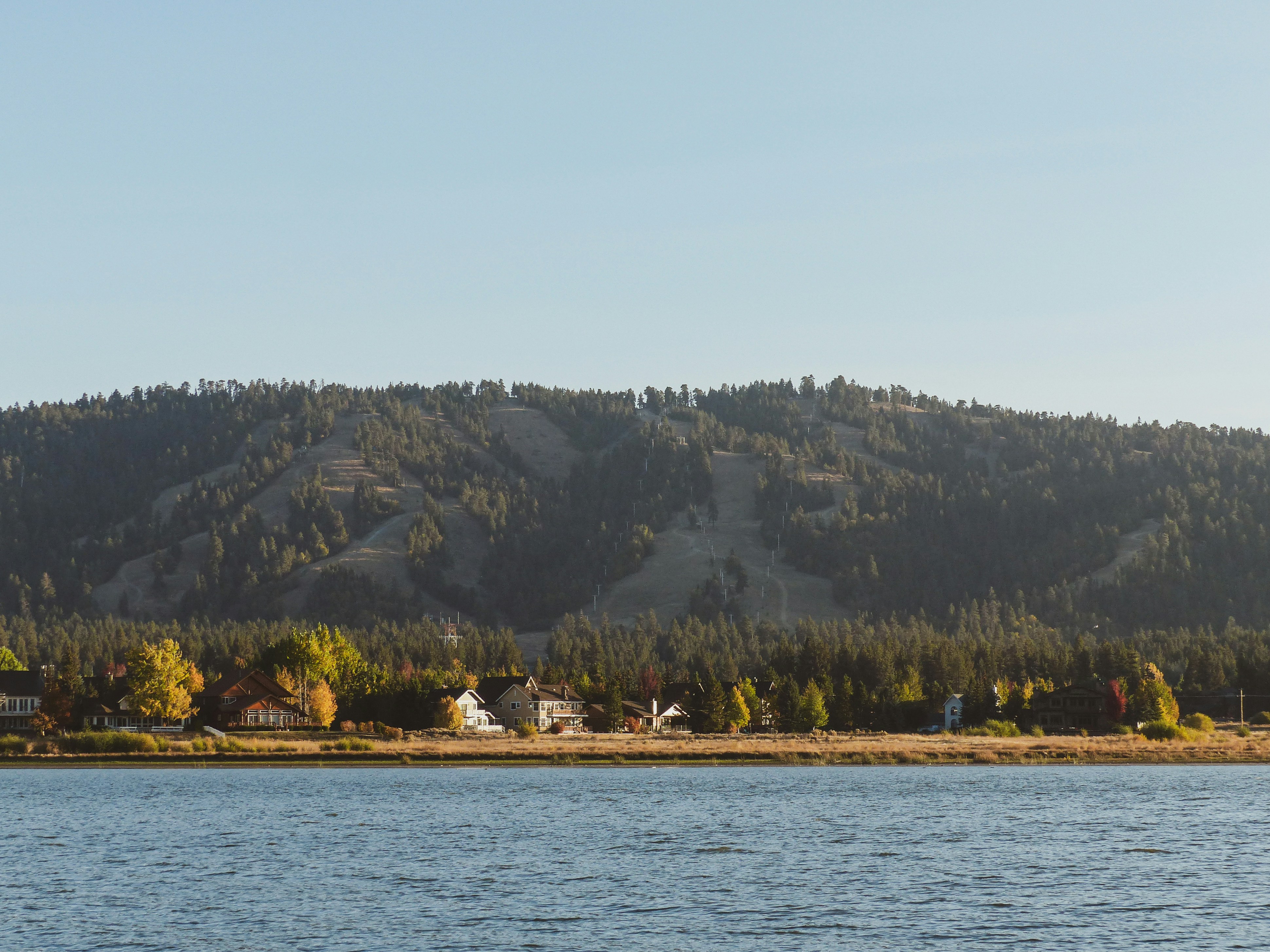 Photo by faitheraser