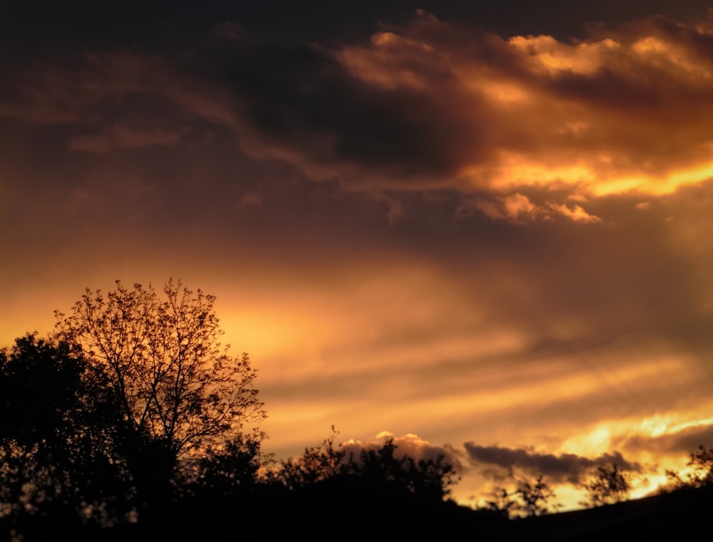 a tree is silhouetted against a cloudy sky