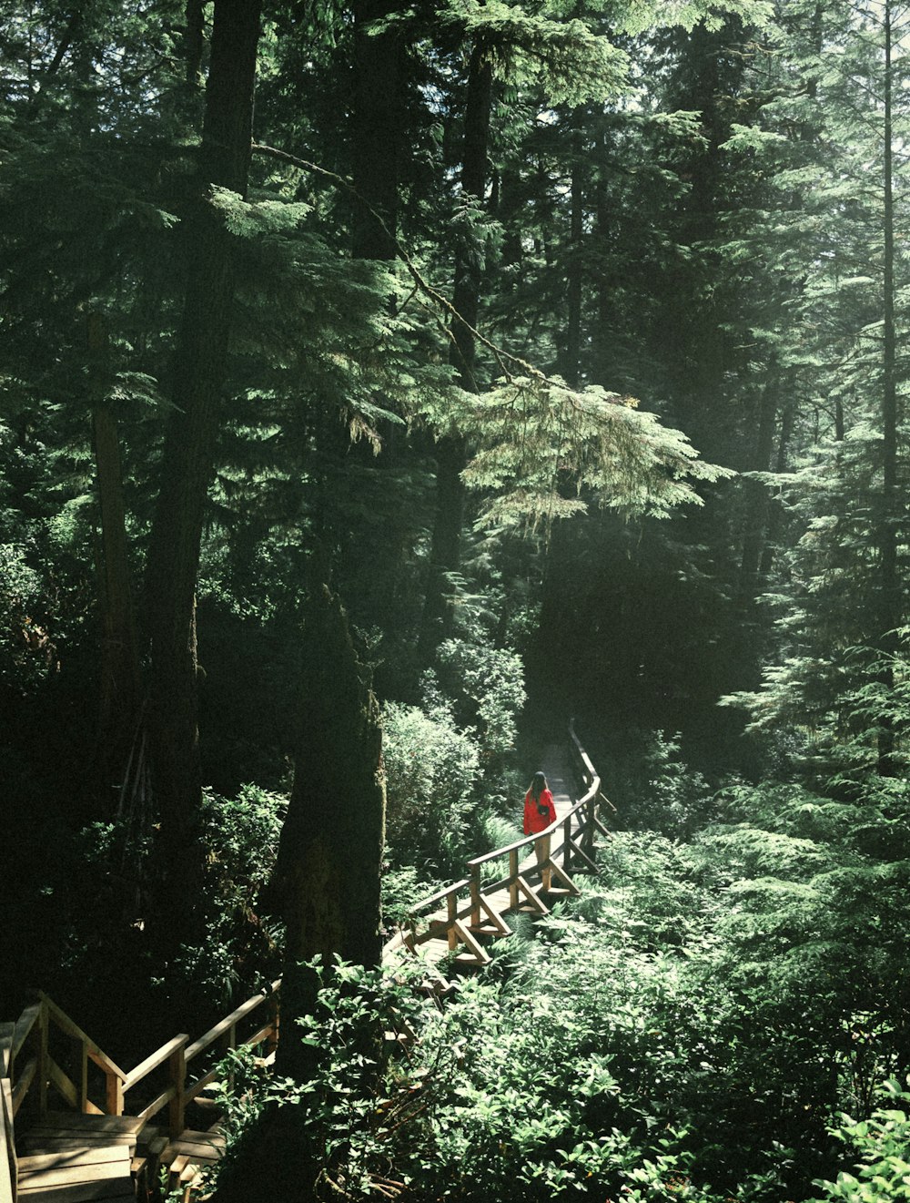 a person walking across a wooden bridge in a forest