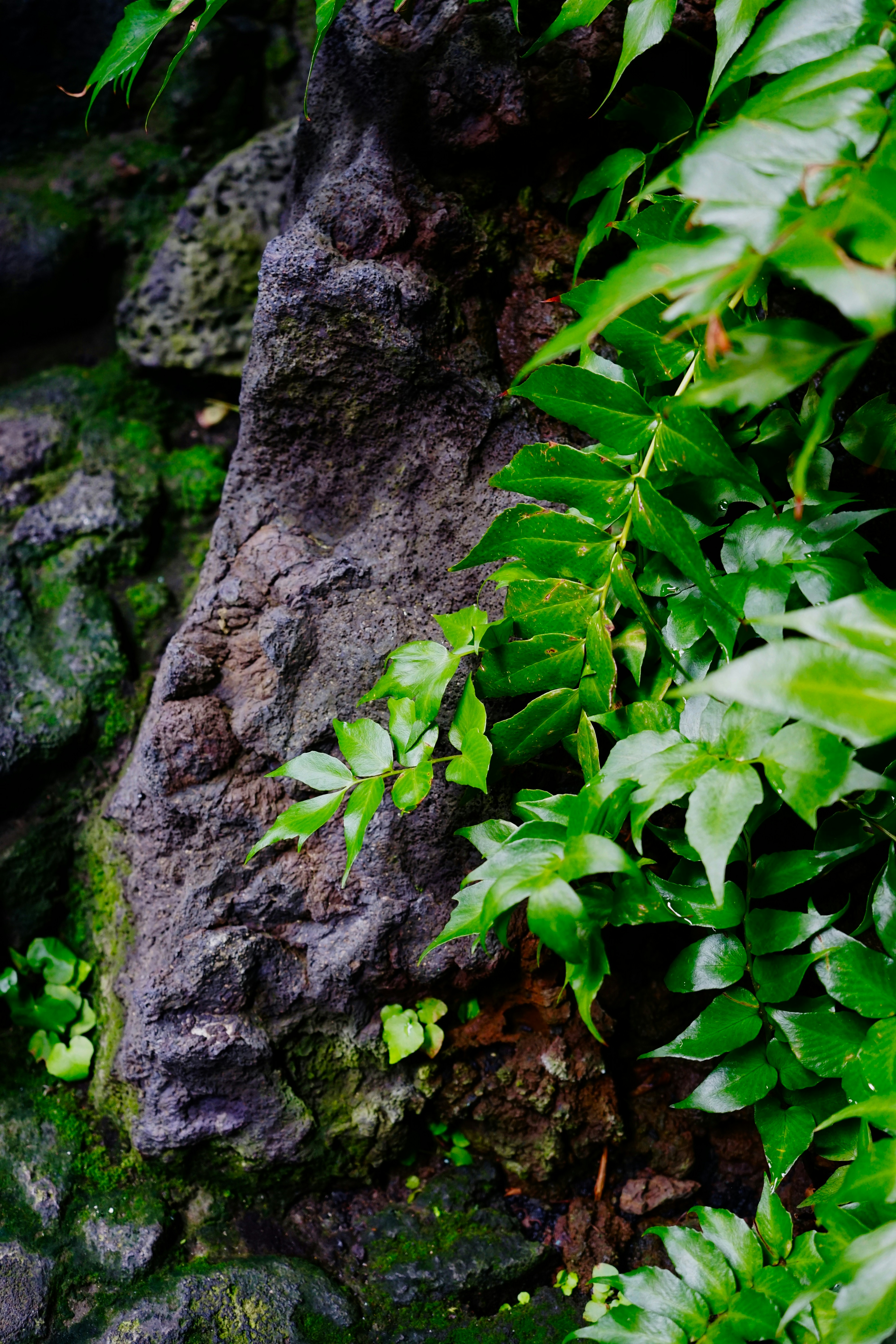 smartphone wallpaper, wallpaper, Xiaomi 15T Pro: Spesifikasi, Harga, dan Keunggulan 4