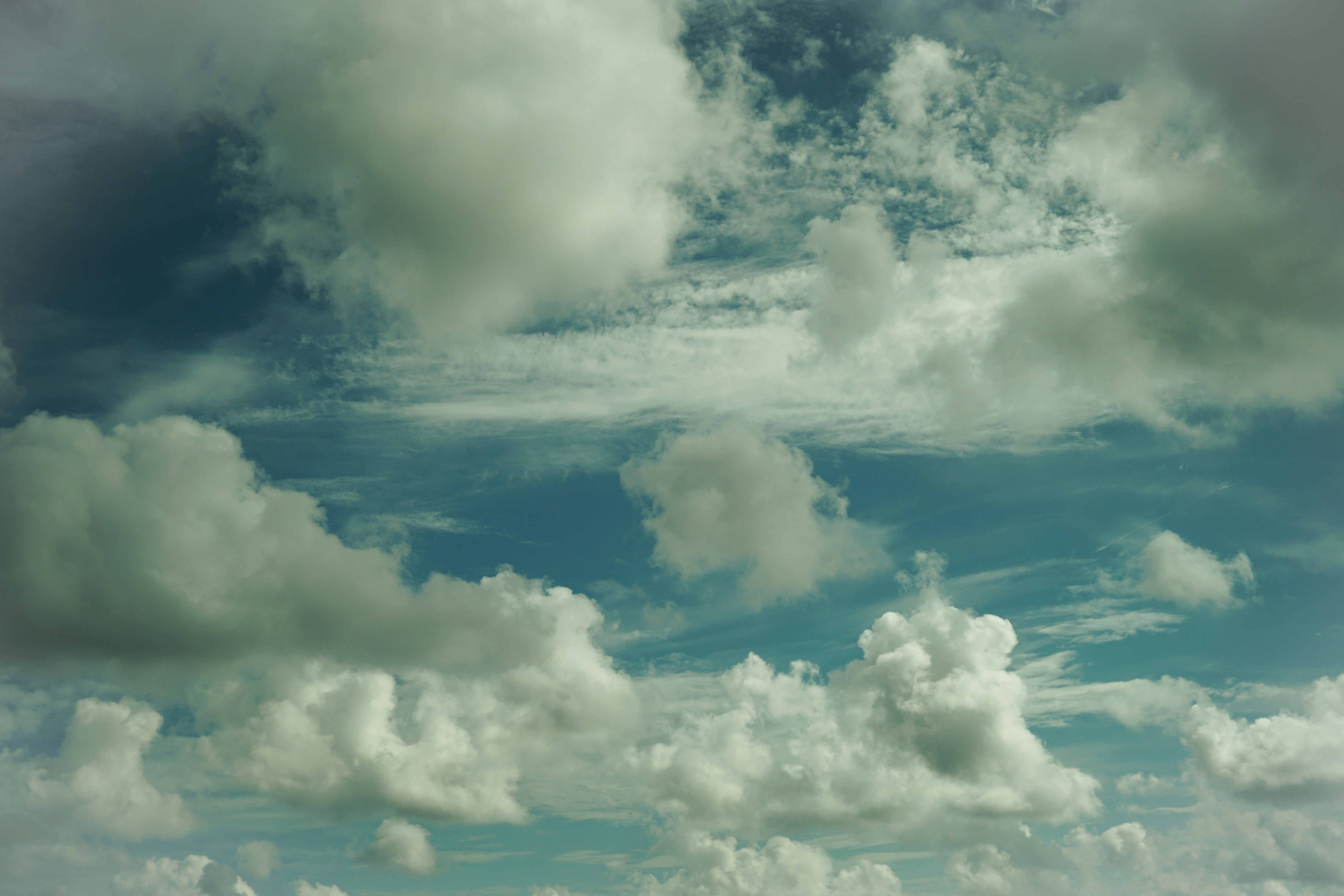 Photo by horseratbros