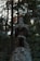 A stone statue of a mythical creature is seated on a rock in a dense forest. The creature has a human-like body with bird-like features, holding an object resembling an ancient artifact. The surrounding area is filled with tall trees and dense foliage, creating a serene yet mysterious atmosphere.