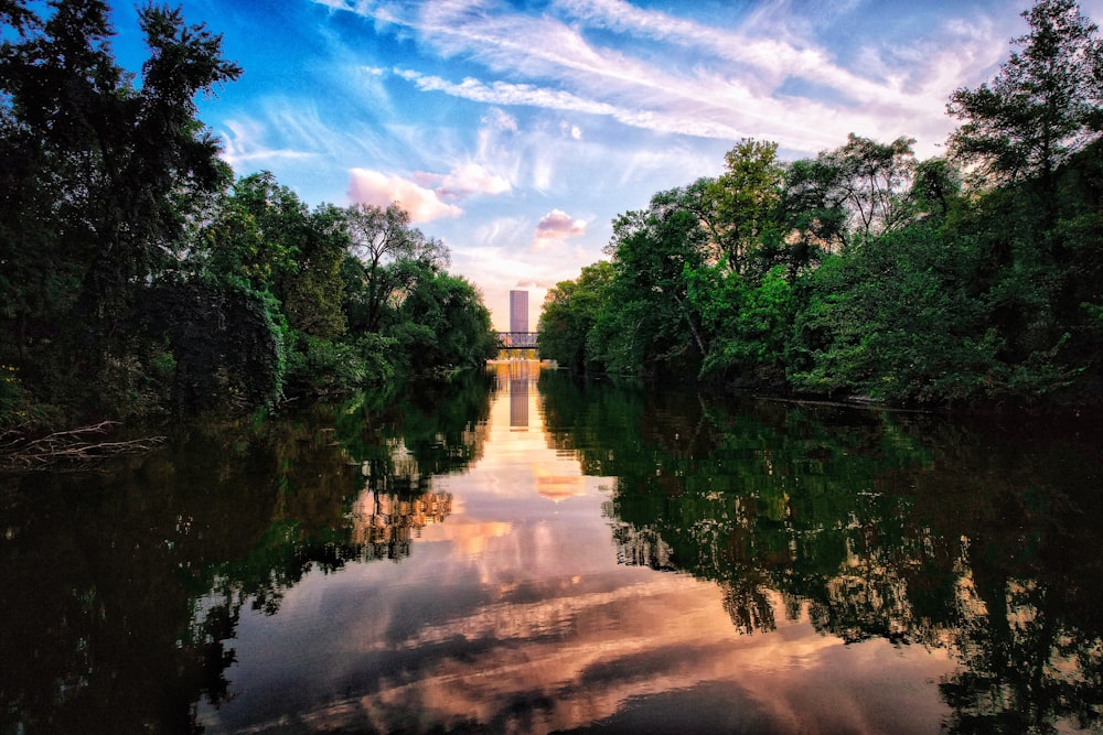 a body of water surrounded by trees and clouds