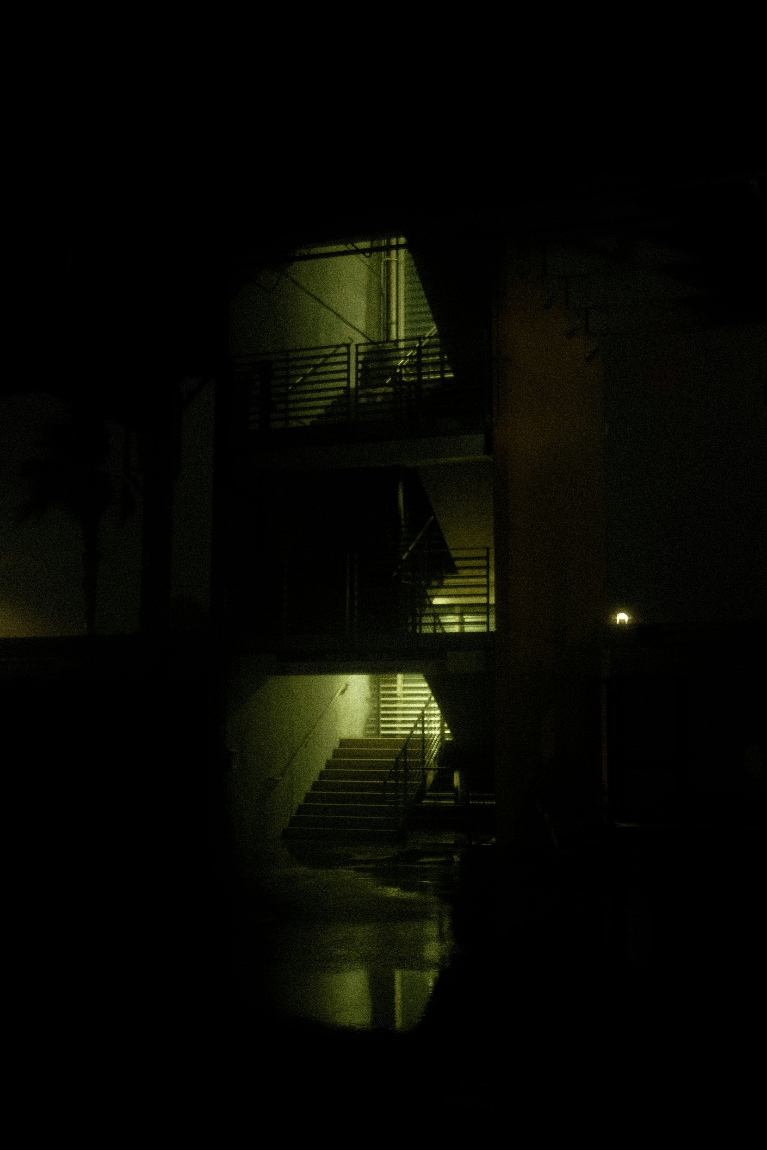 Photo by david_moorhouse