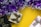 Several gift boxes with ribbon bows, placed on a bright yellow background, surrounded by purple and white tinsel.