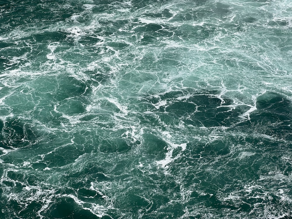 a large body of water covered in lots of green water