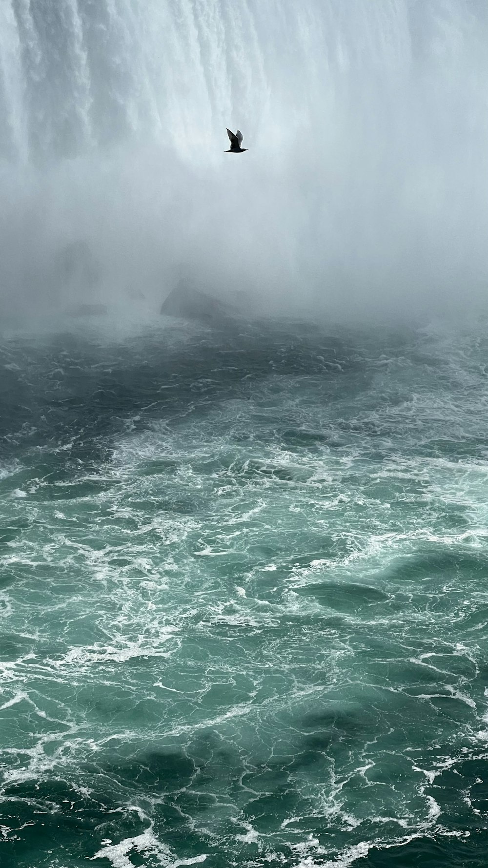 a bird flying over a large waterfall in the ocean