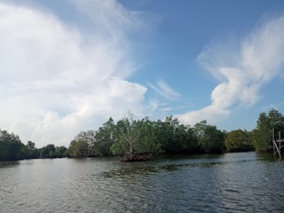 A serene riverside view of Ilha Mém de Sá with lush mangroves and calm water under a clear sky.