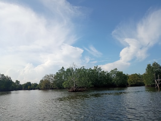 A serene riverside view of Ilha Mém de Sá with lush mangroves and calm water under a clear sky.