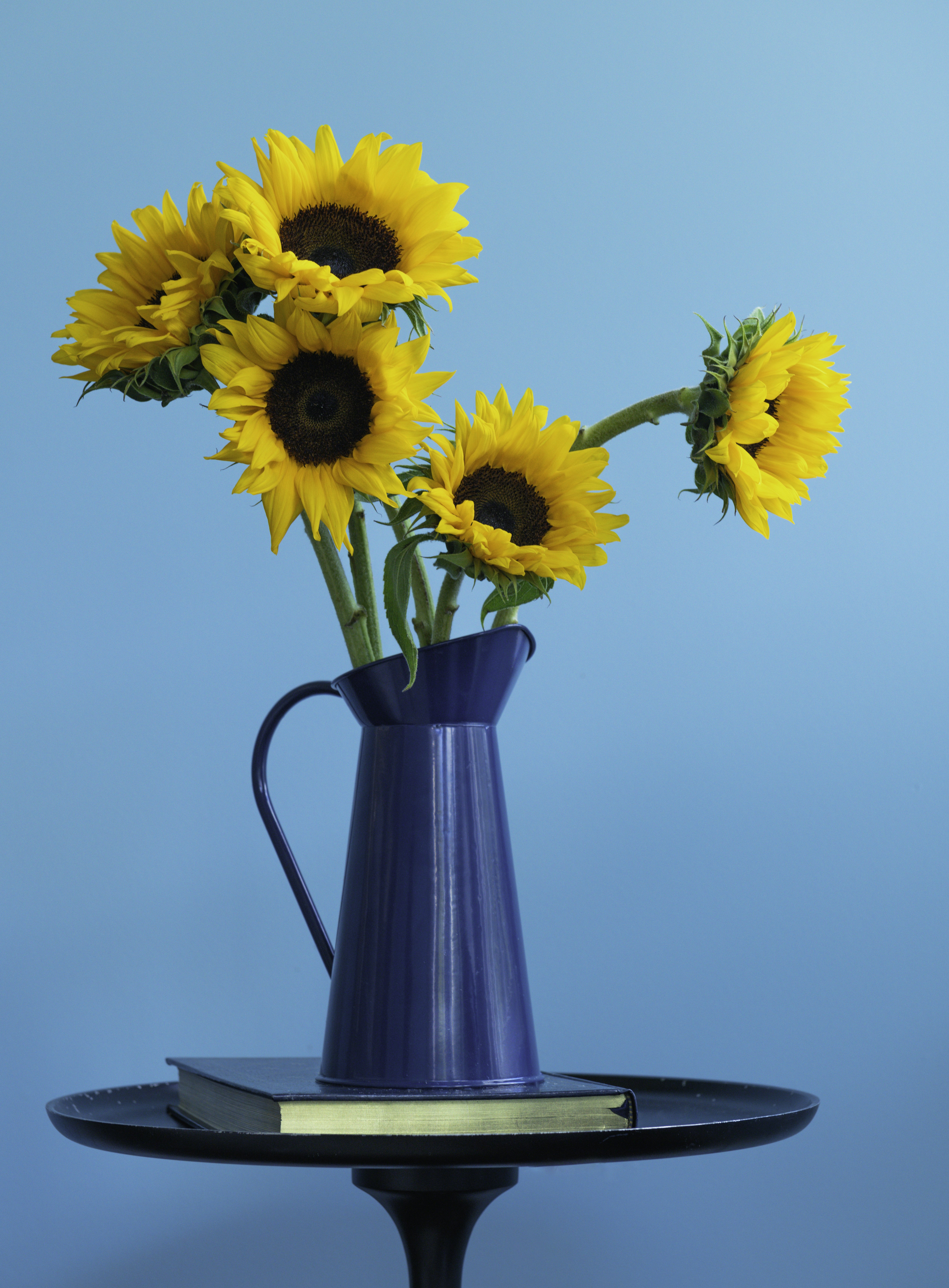 Photo by sriniunsplash