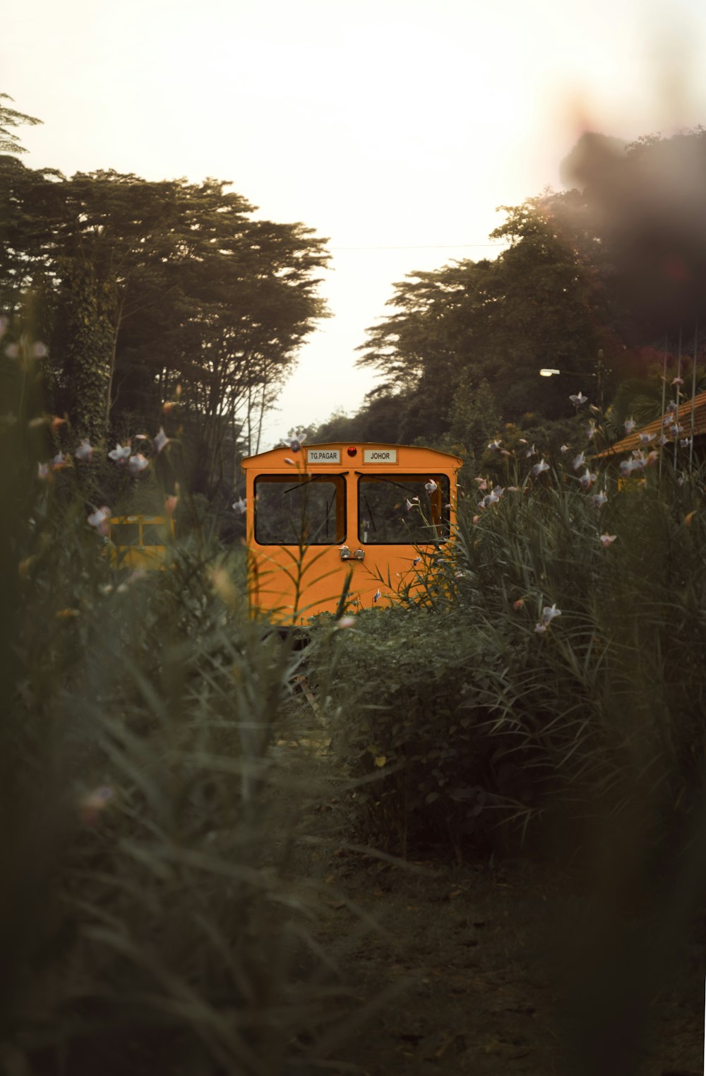 an orange bus driving through a lush green field