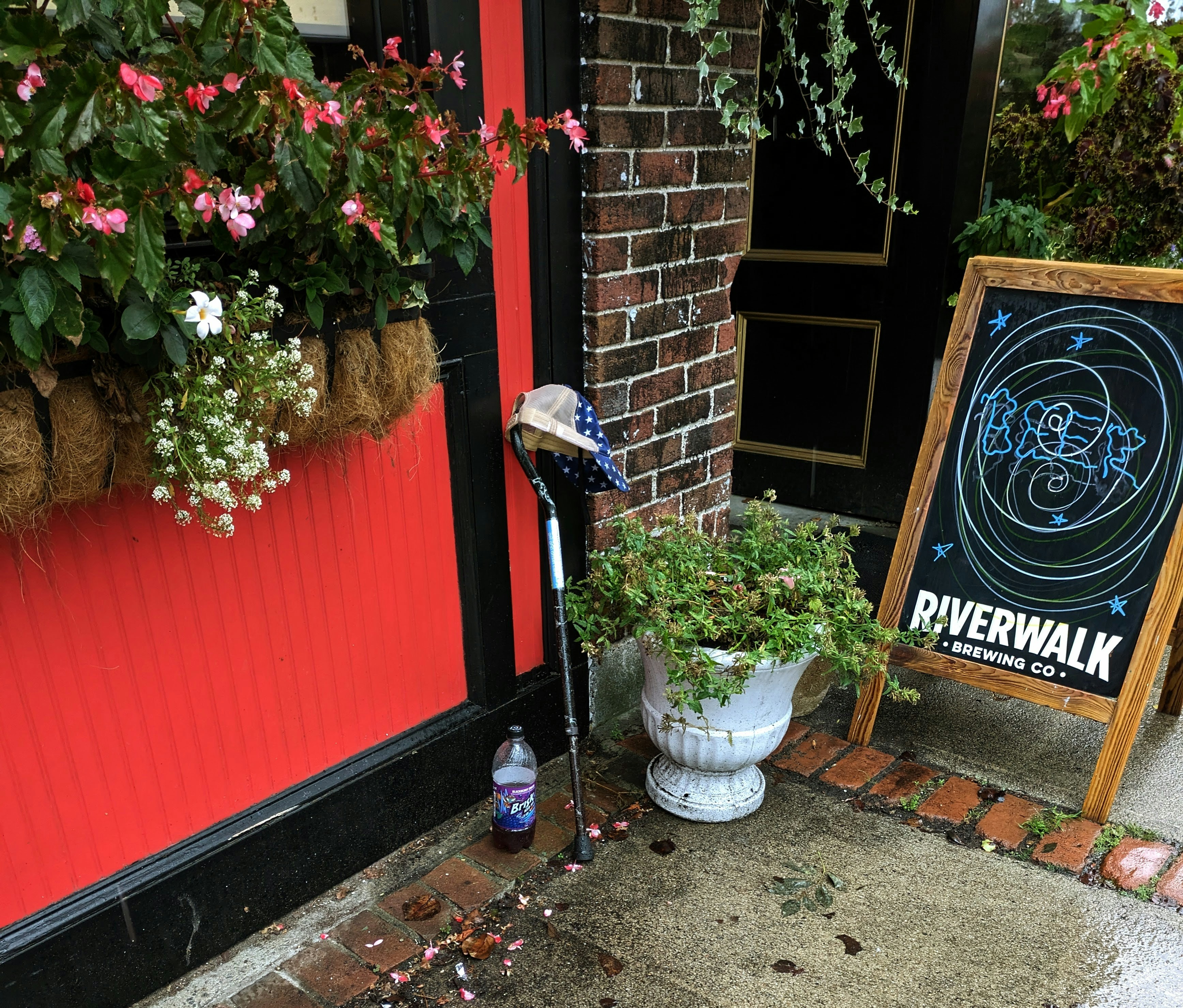 una planta en maceta junto a un letrero en la acera
