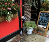 A decorative storefront featuring a vibrant red wall section with a basket of blooming flowers mounted on it. Below, a cane with a hat rests against the wall near a plastic bottle on the ground. To the right, a sandwich board sign for 'Riverwalk Brewing Co.' displays a colorful design, all set against a brick wall backdrop on a wet sidewalk.