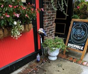 A decorative storefront featuring a vibrant red wall section with a basket of blooming flowers mounted on it. Below, a cane with a hat rests against the wall near a plastic bottle on the ground. To the right, a sandwich board sign for 'Riverwalk Brewing Co.' displays a colorful design, all set against a brick wall backdrop on a wet sidewalk.