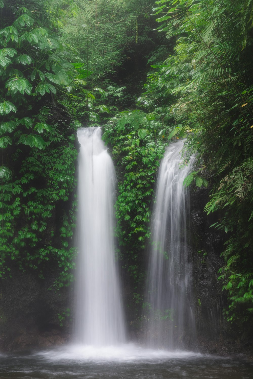 a large waterfall in the middle of a forest