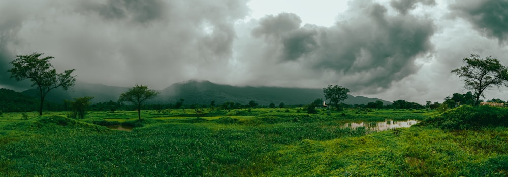 a green field with trees and a mountain in the background