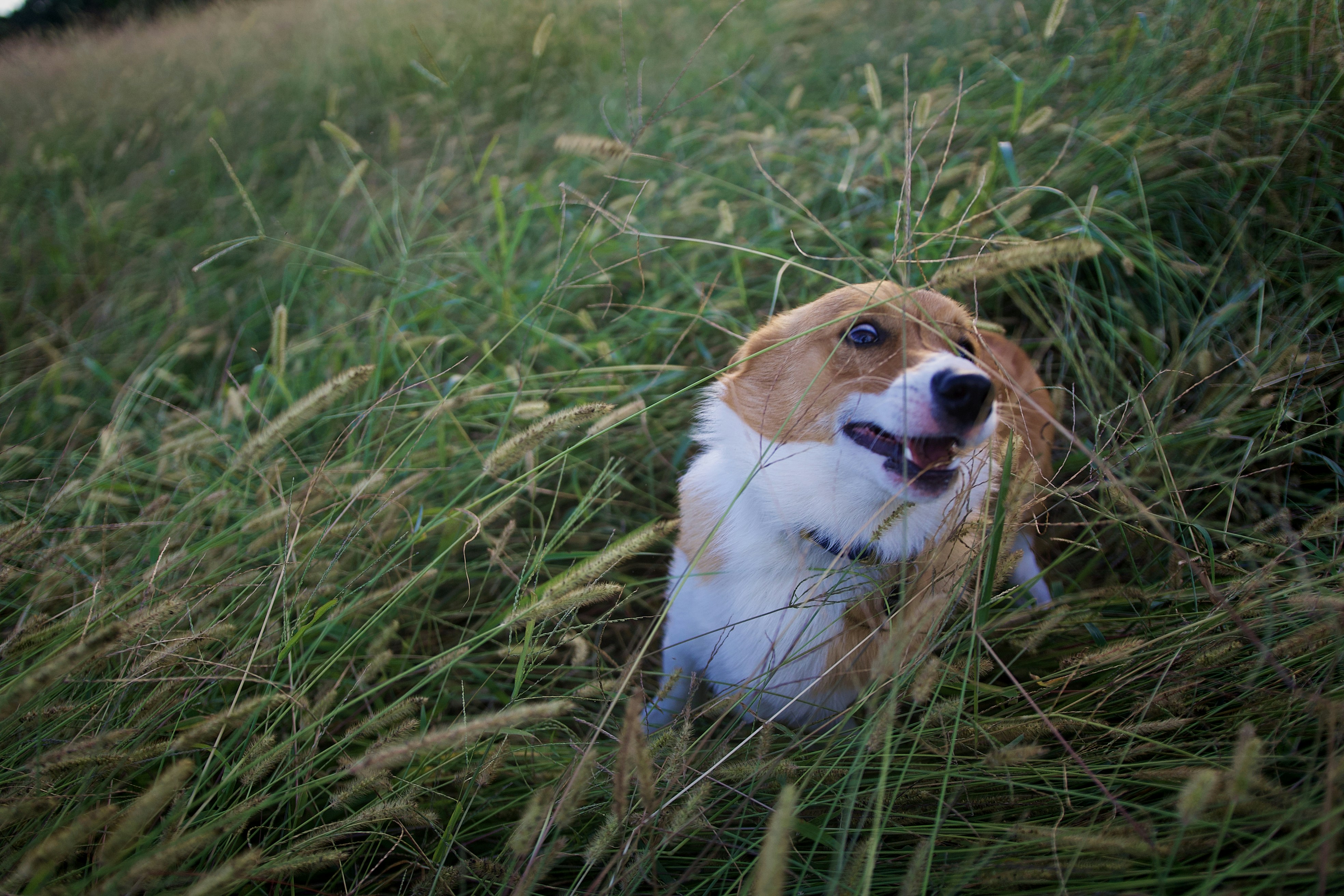 Photo by minimdesignco