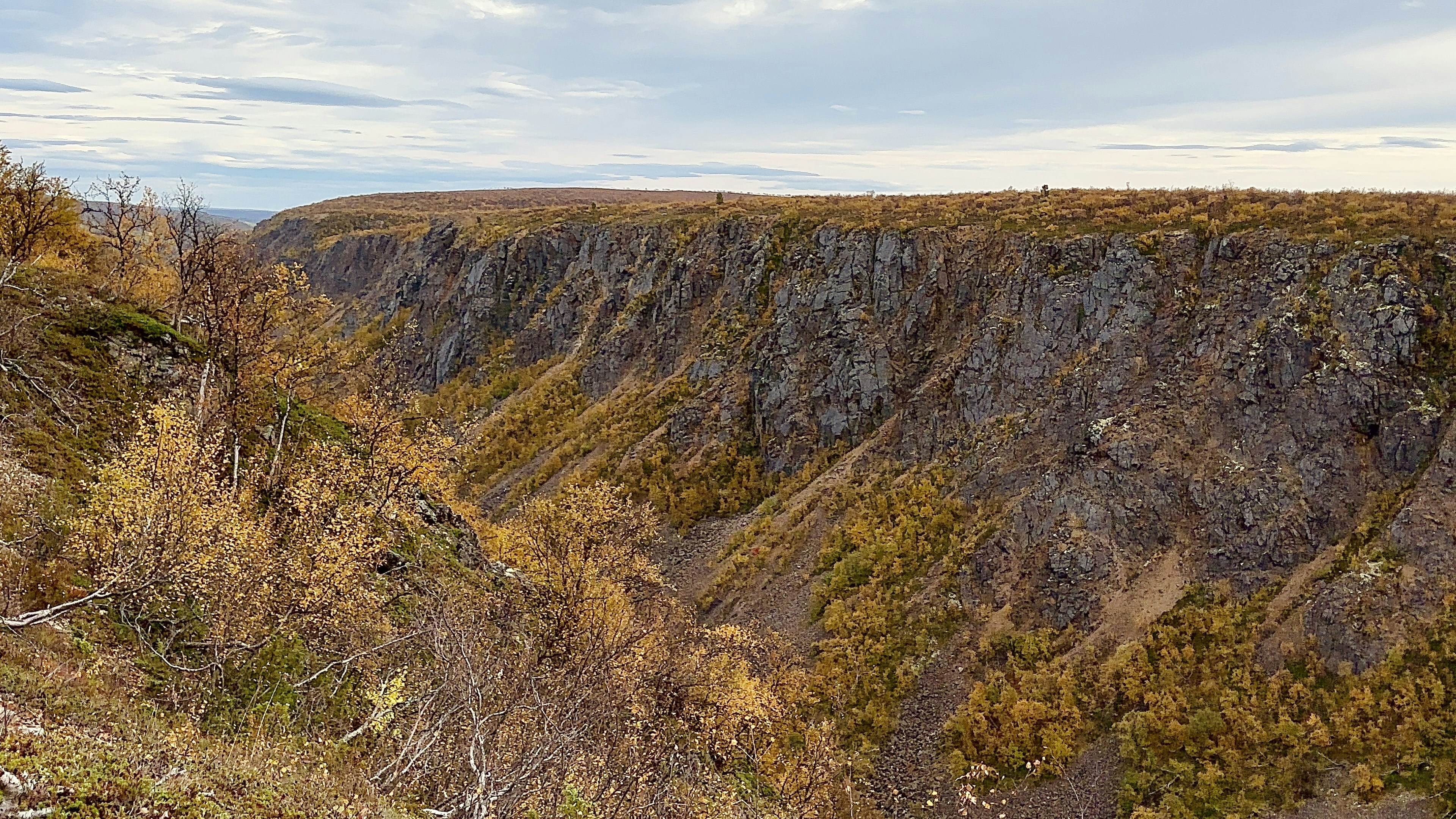 Strictly's Amy Dowden Forced Out of Competition Due to Injury