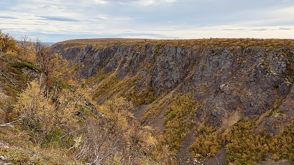 a man riding a bike down a mountain side