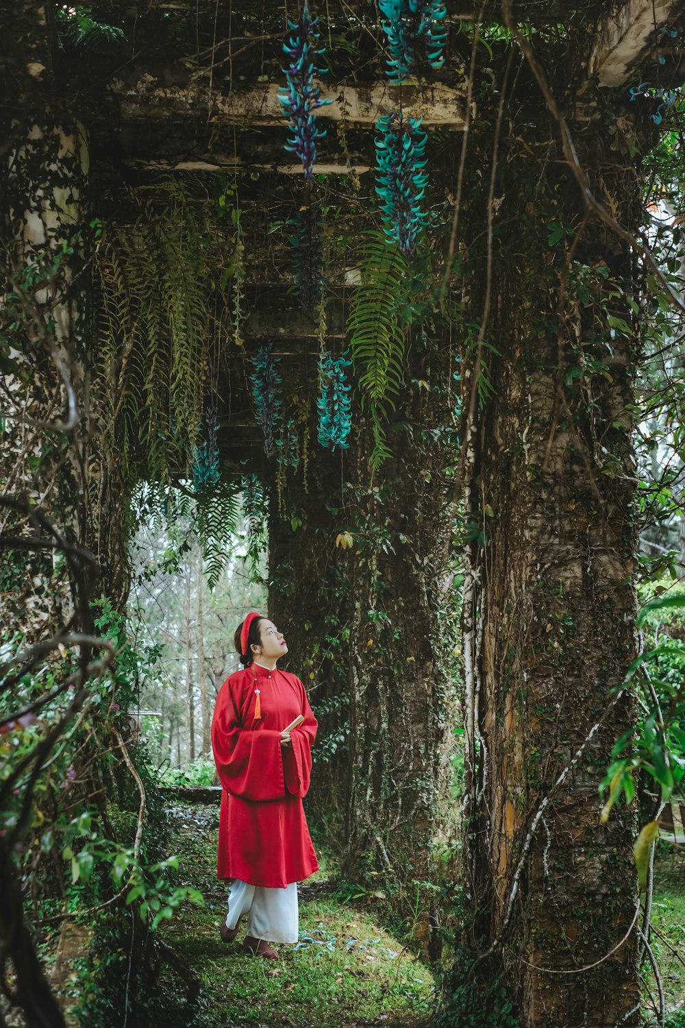 a woman in a red robe walking through a forest