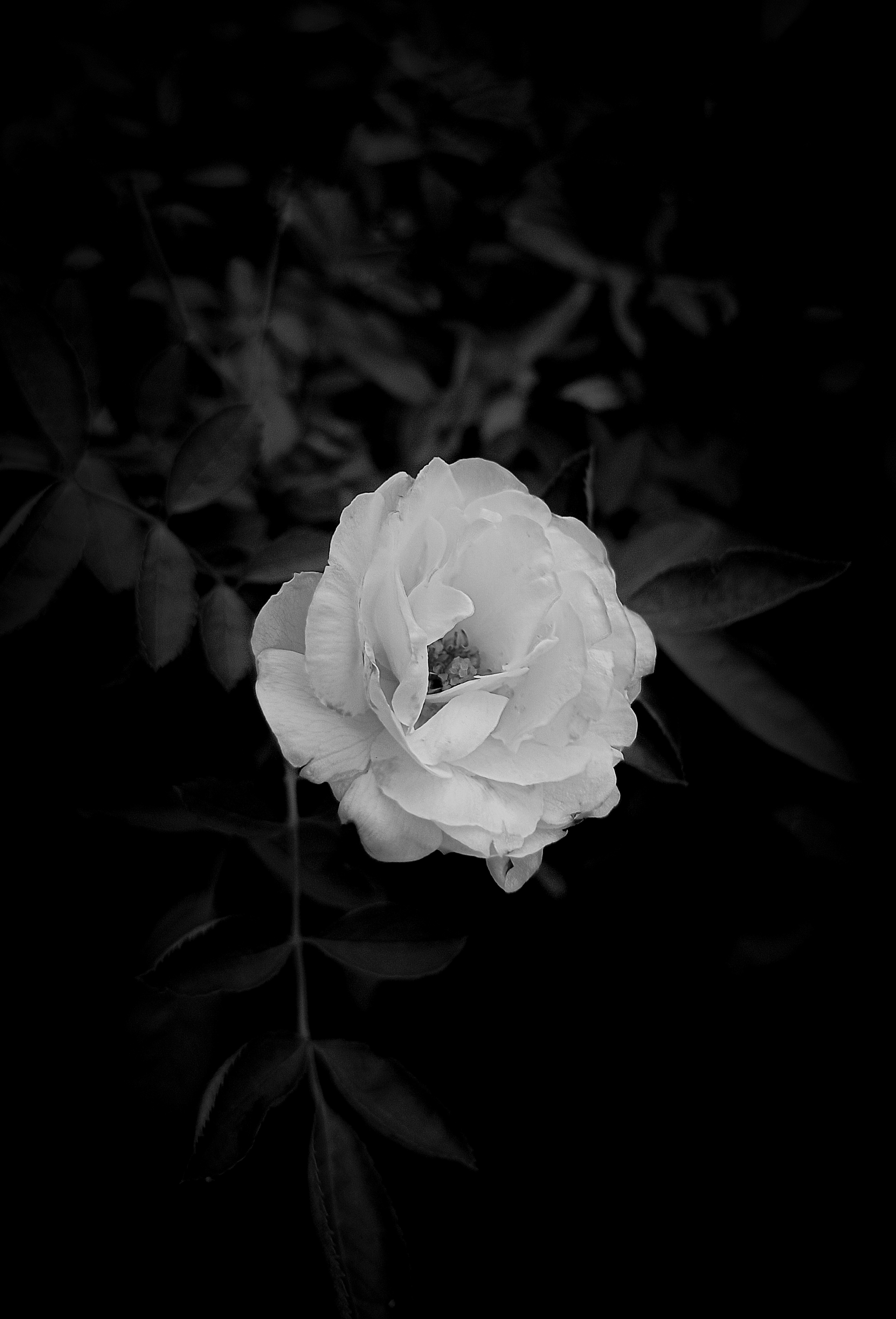 Photo by 18_erashots