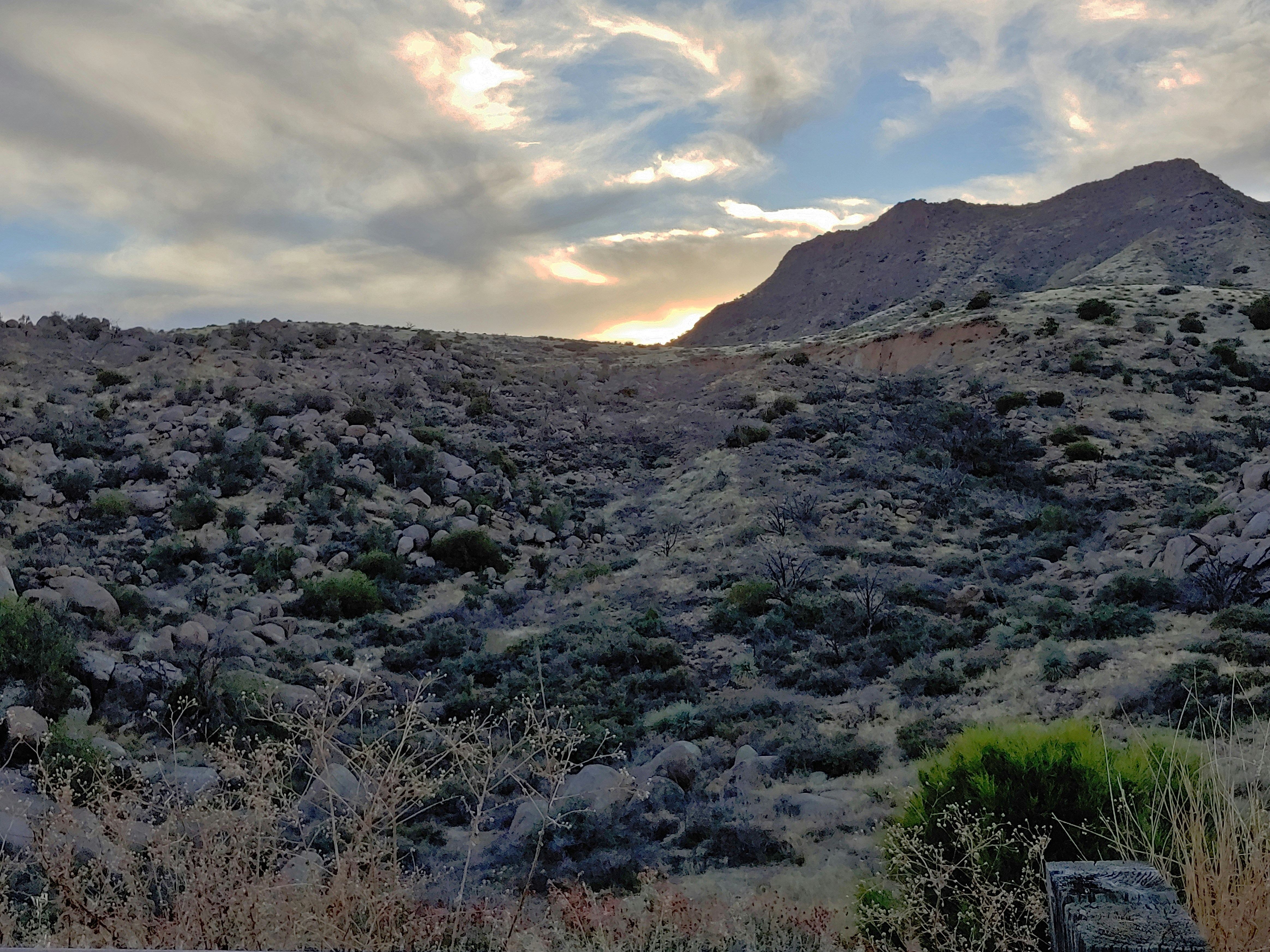 Photo by rachel_atwork