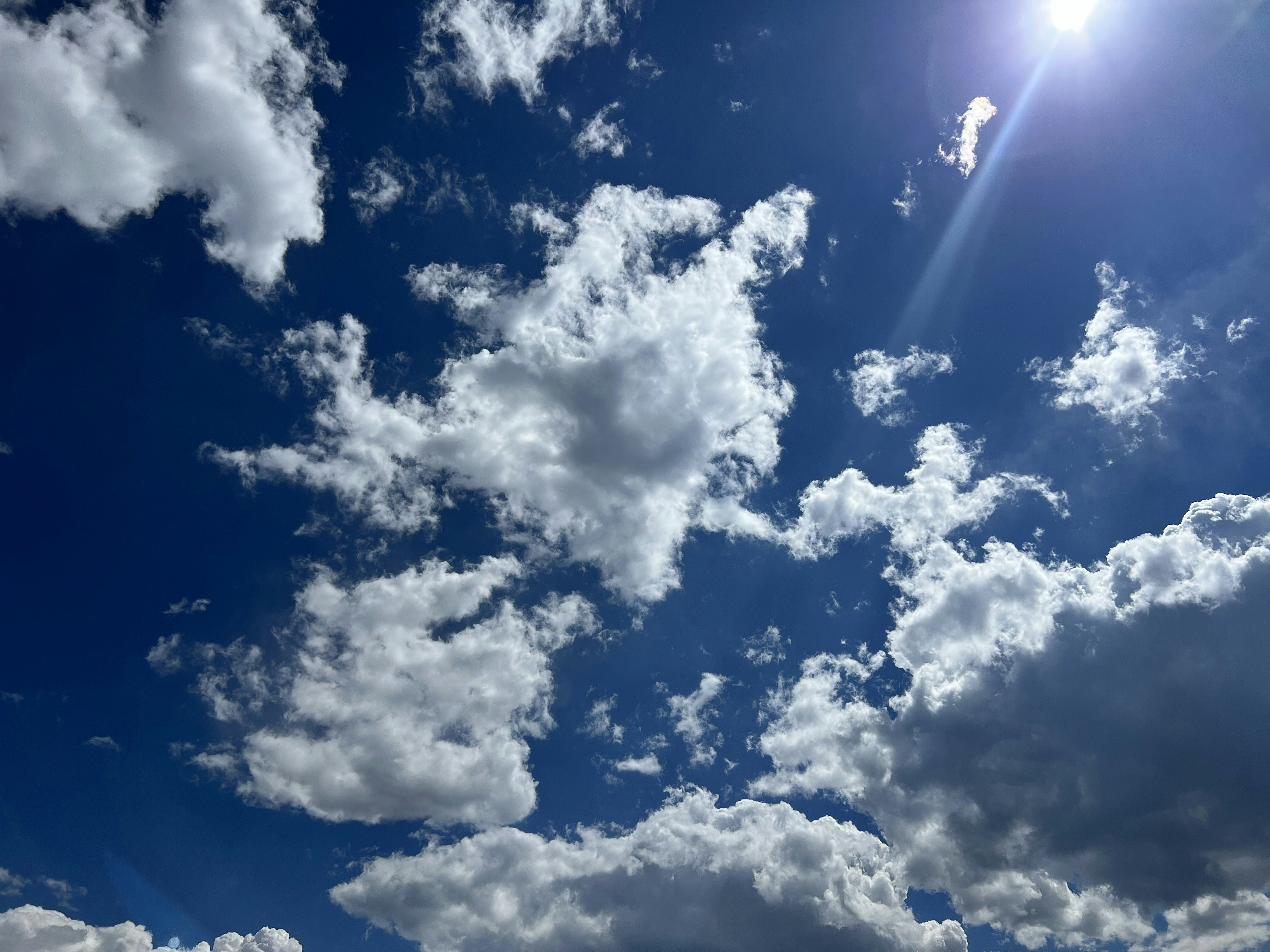 Photo by lisasmithwilliams