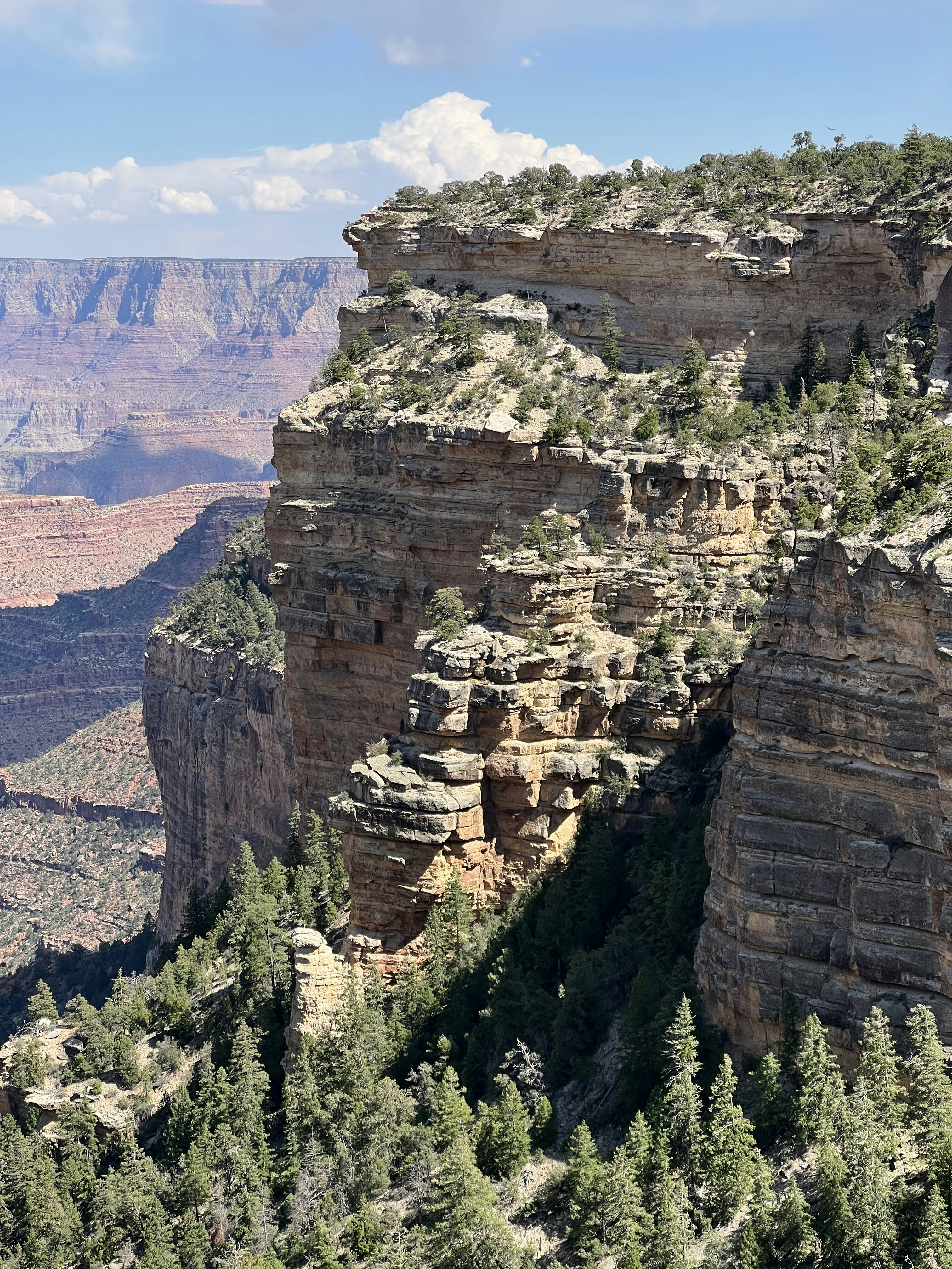 Photo by lisasmithwilliams