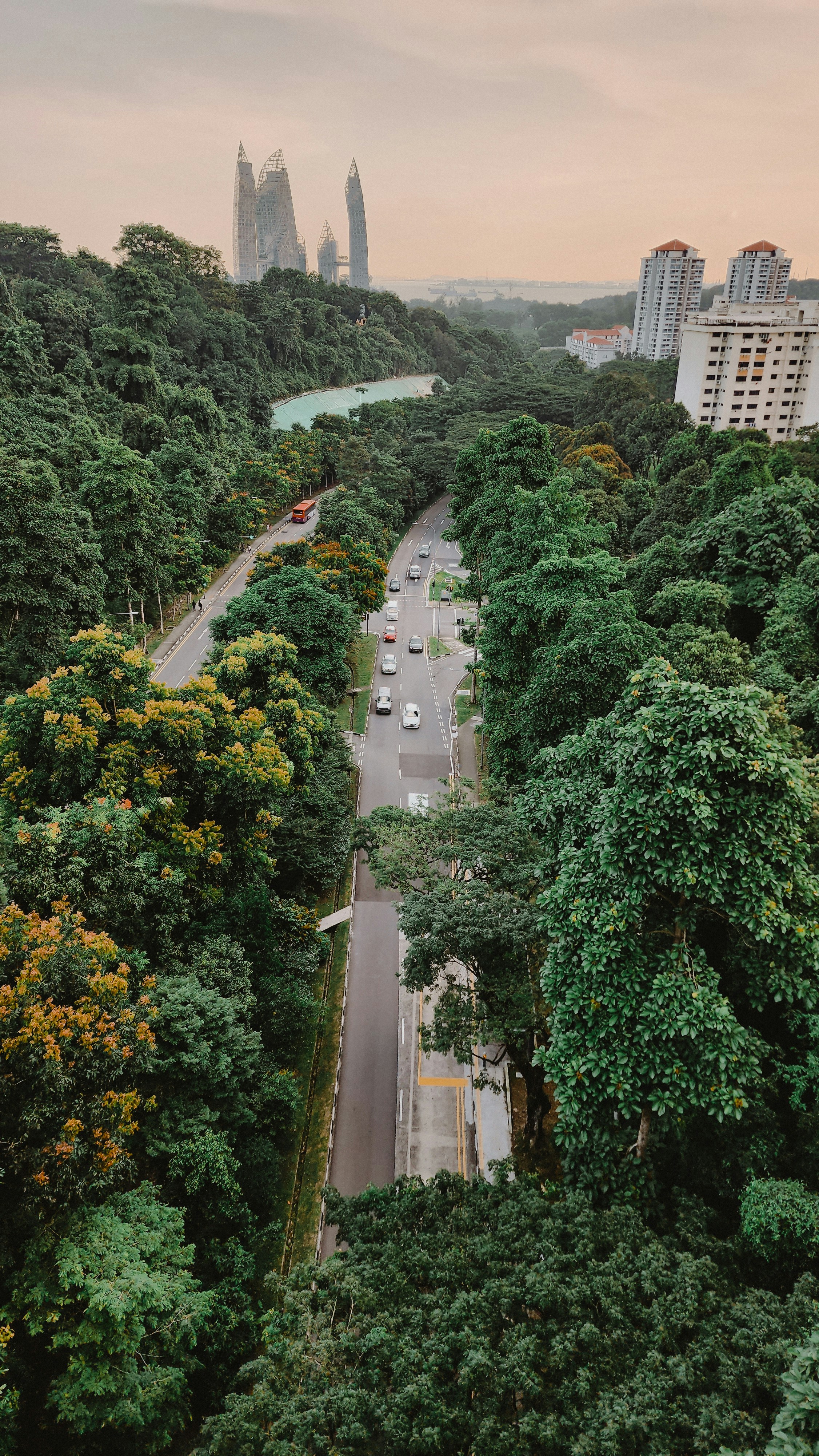 Containers in Henderson, TX