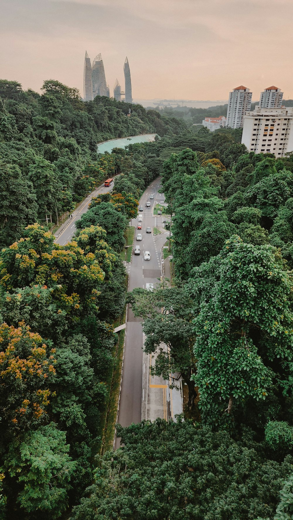 an aerial view of a road surrounded by trees