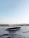 A sleek, modern yacht is gliding through a body of water with gentle waves. In the background, a cityscape featuring historic architecture, including minarets and domes, can be seen under a clear blue sky, creating a serene and picturesque scene.