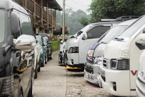 A row of clean, well-maintained rental vehicles lined up in a spacious lot.