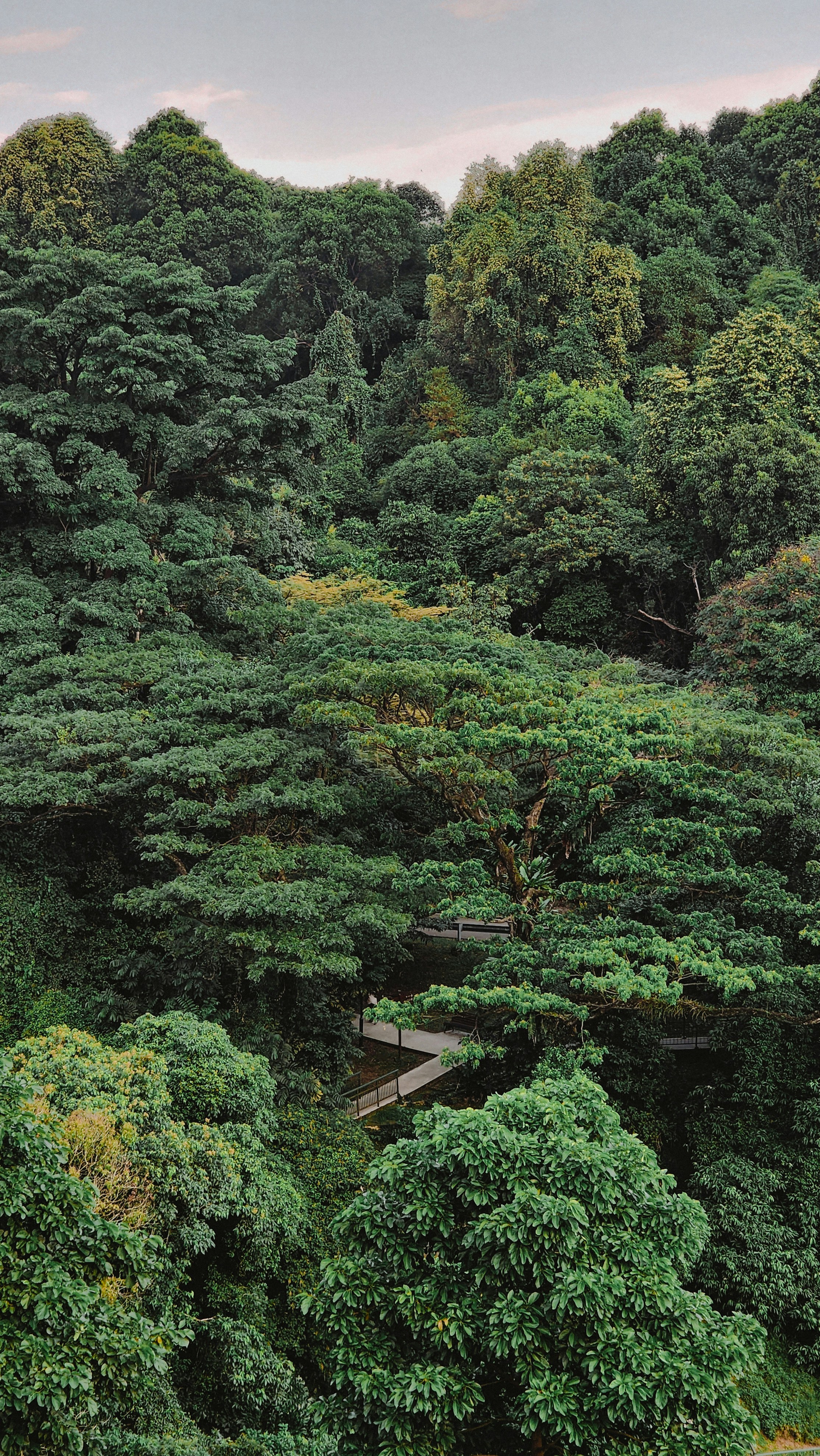 Photo by mudassir_xe