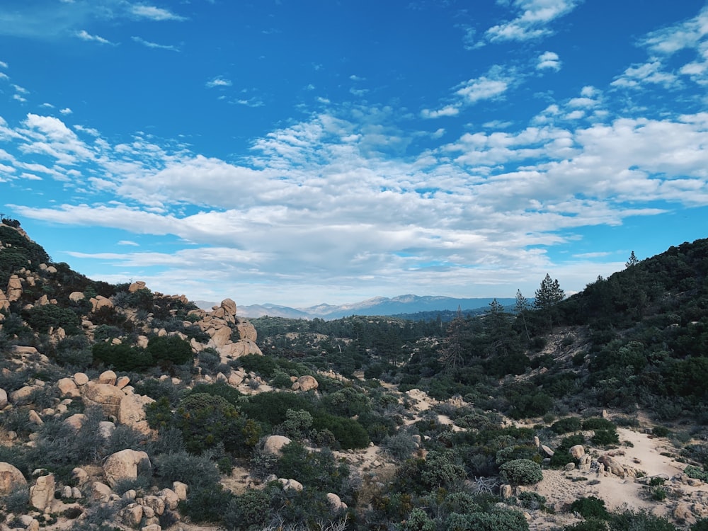 a view of a mountain range with rocks and trees